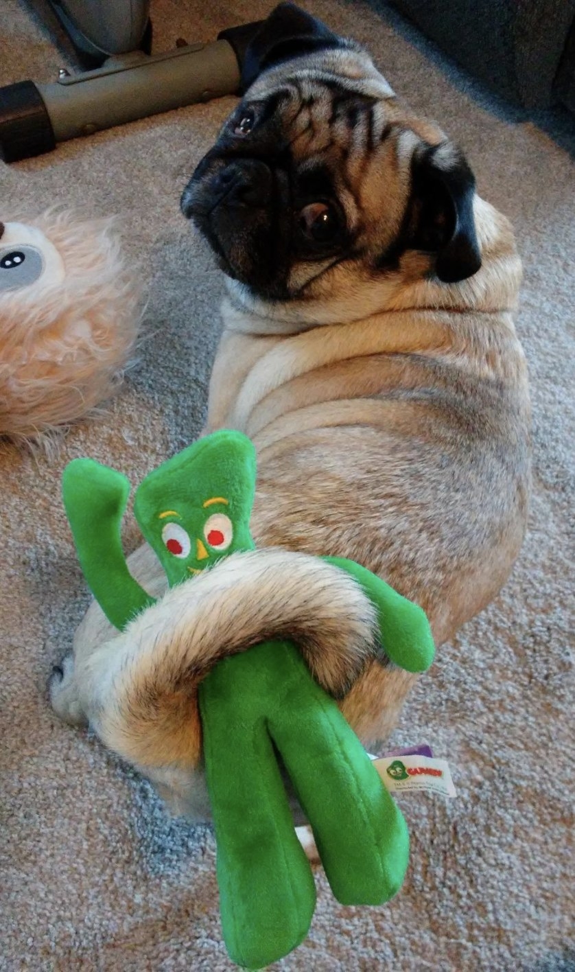 making a stuffed animal of your pet