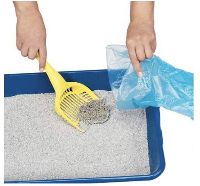Pet waste bags are used to clean out a litter box