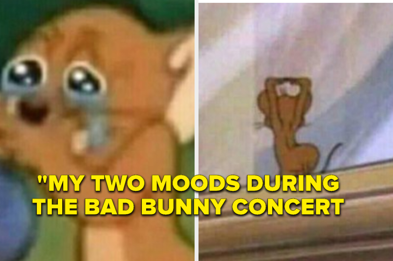 memes bad bunny funny photos