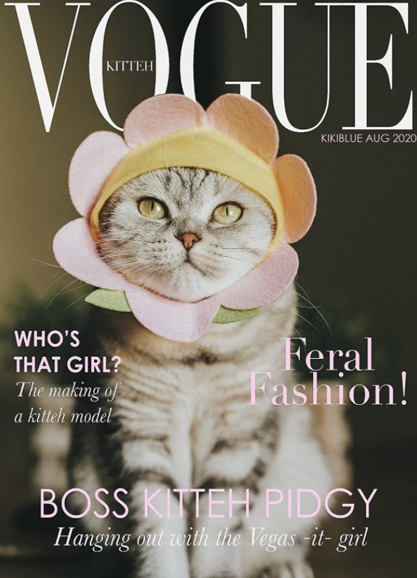 A fake Vogue cover with a cat wearing a pink and yellow flower cap