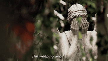 a statue covering its eyes as it&#x27;s described as the &quot;Weeping Angel&quot;