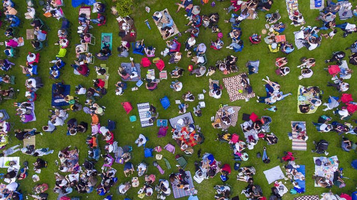 Aerial view of park.