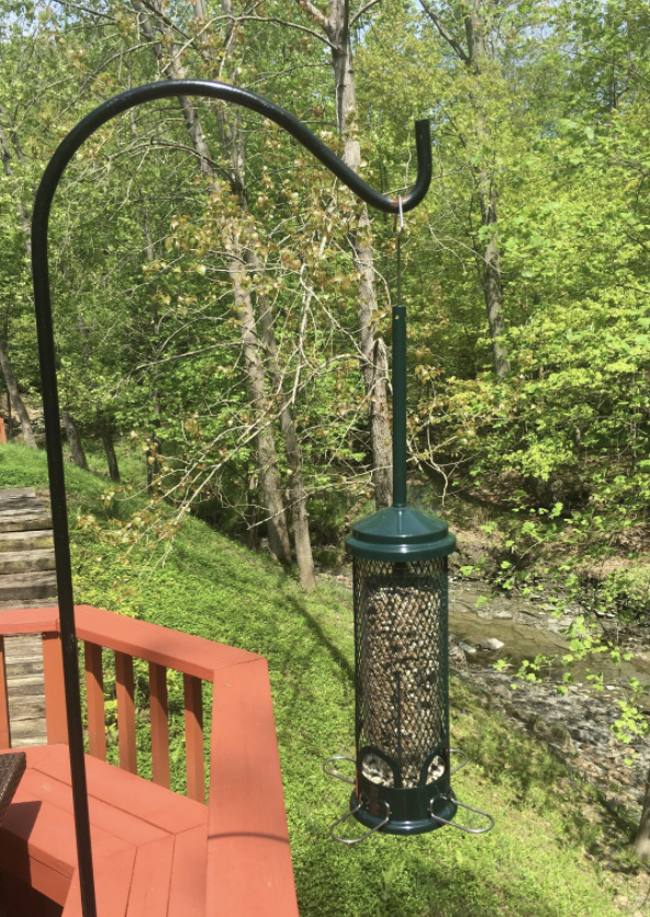 a reviewer&#x27;s photo of the vertical, elongated bird feeder in their yard
