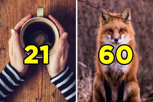 Choose 6 Of Your Favorite Things And We'll Accurately Guess Your Age