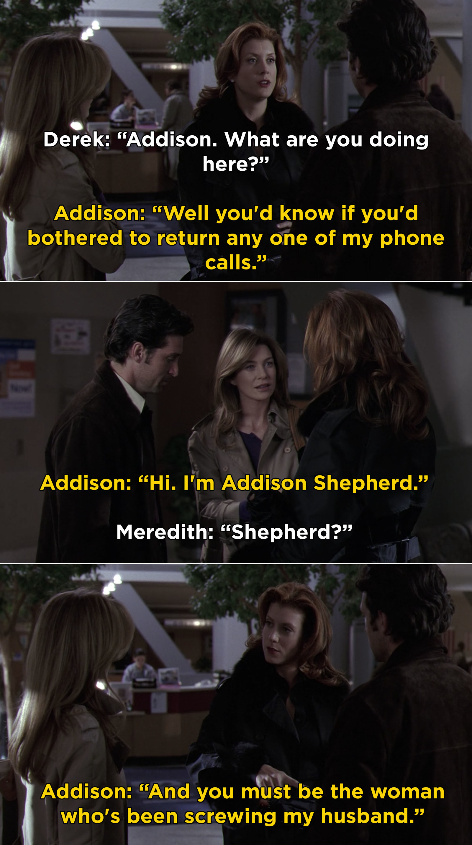 Addison arriving and telling Meredith, "And you must be the woman who's been screwing my husband"