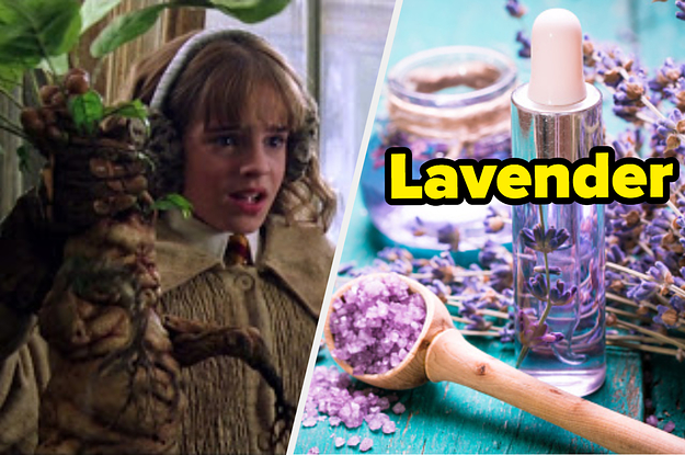 Hermione Granger is holding a plant on the left with a bottle of lavender oil on the right