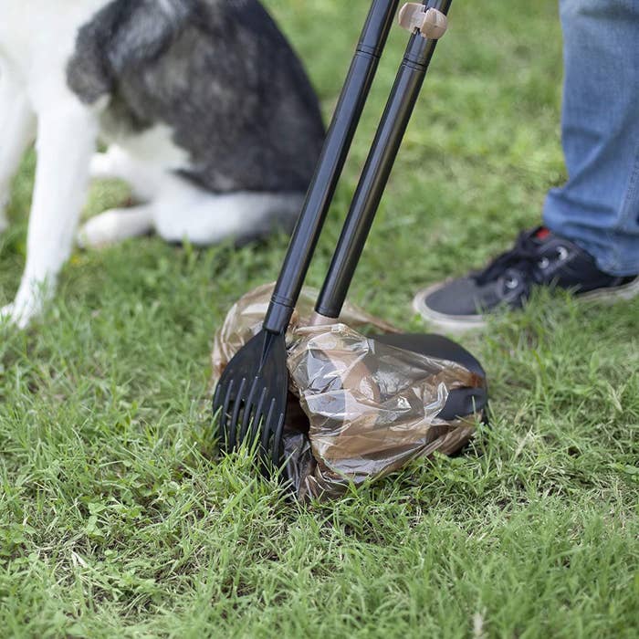 A model pushing dog poop into a bag-covered swivel bin with a rake