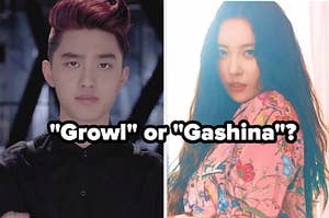 An image of Sunmi from her music video for Gashina and an image of Kyungsoo from Exo's music video for Growl