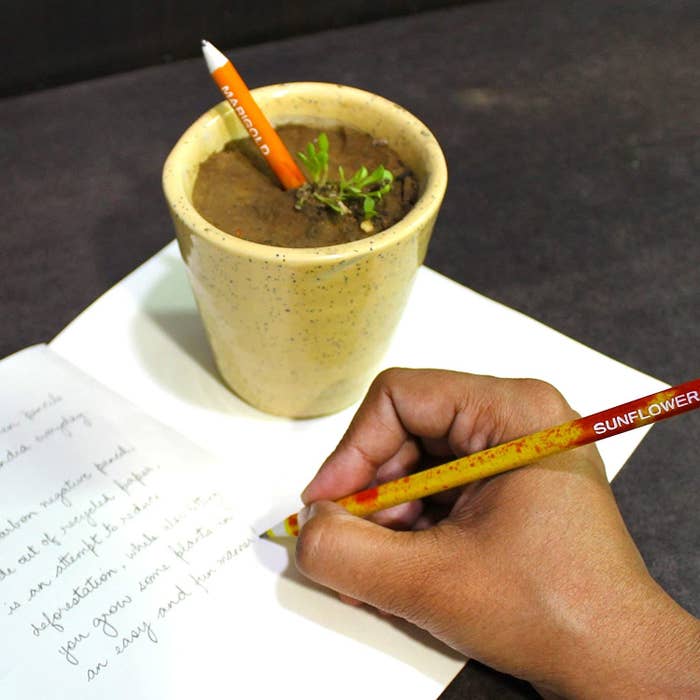 A person using the pencil.