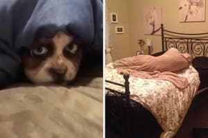 a person's face painted to look like a dog and a pillow tucked into a bed looking like a human