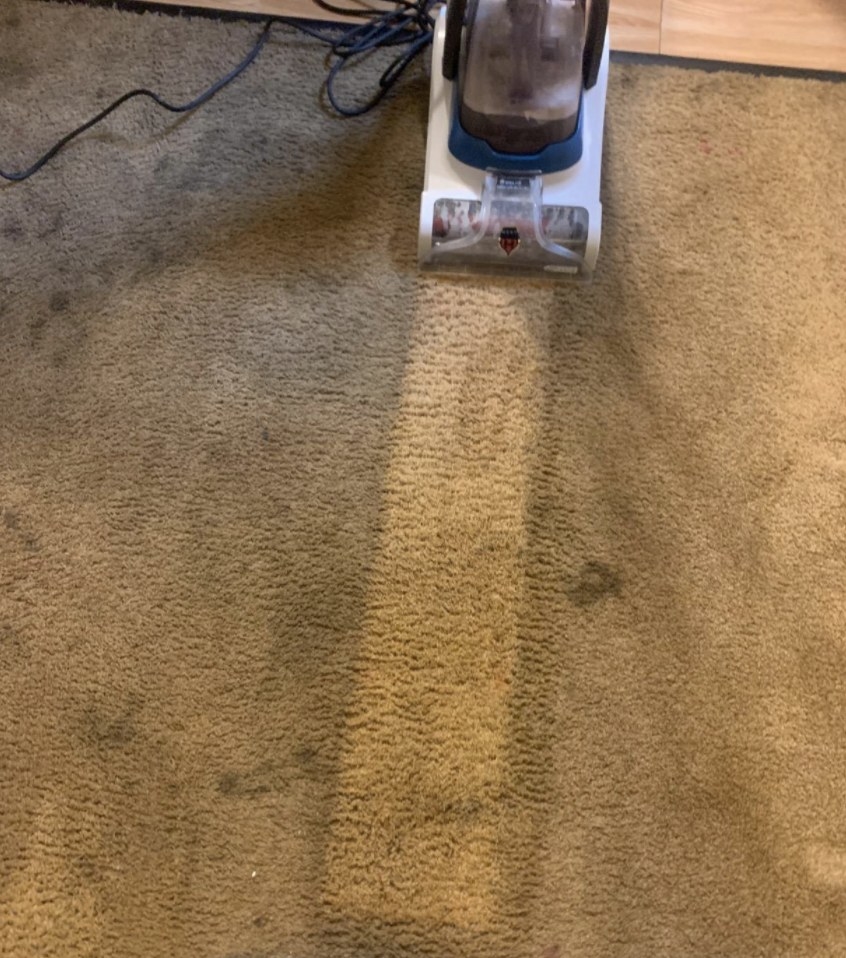 The carpet cleaner cutting a bright, clean line on a dark, dirty carpet