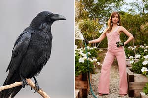 A raven and Jessica Alba gardening.