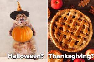 Screaming cat holding a pumpkin and an apple pie