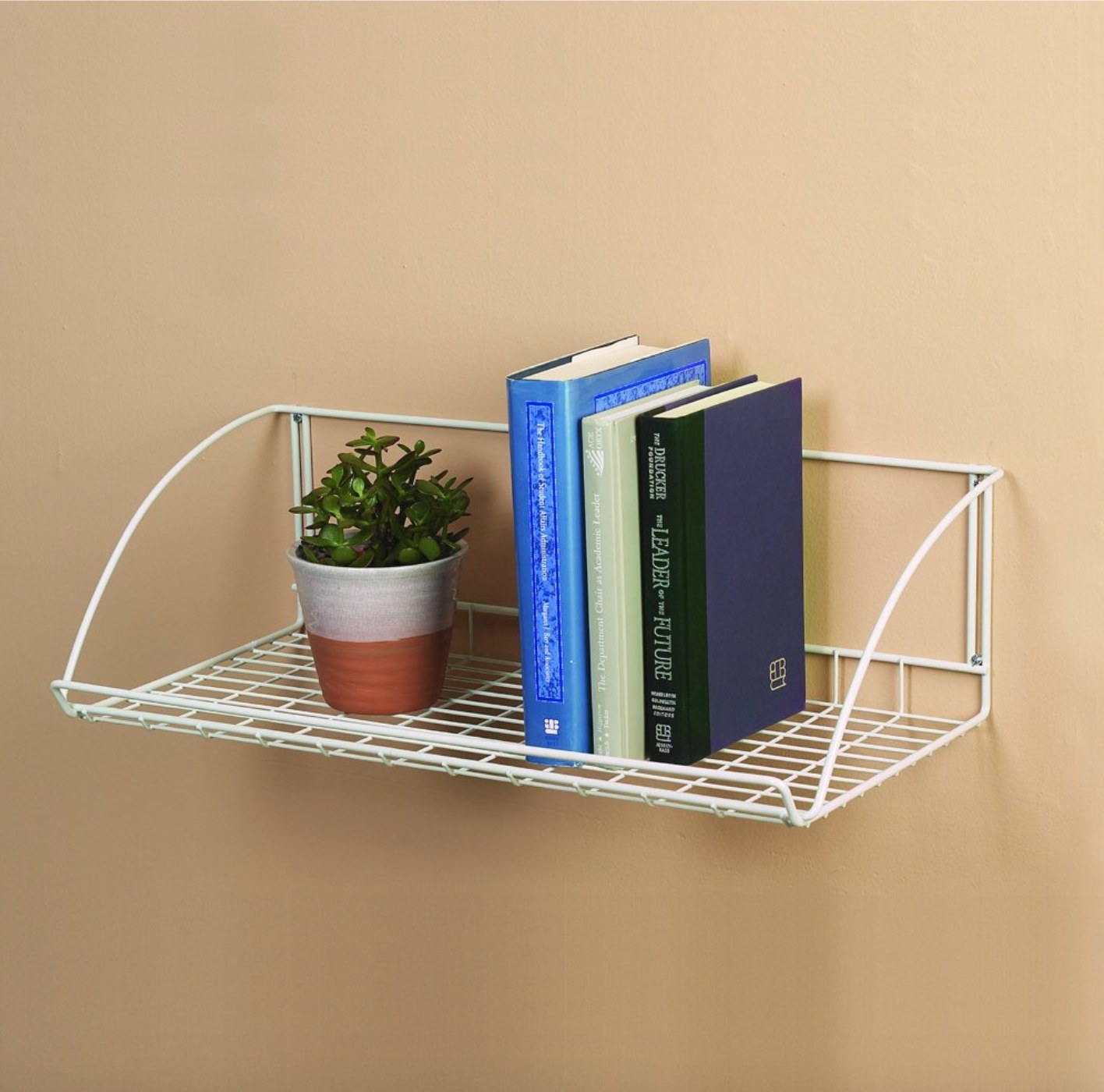 The shelf being used to hold books and a plant