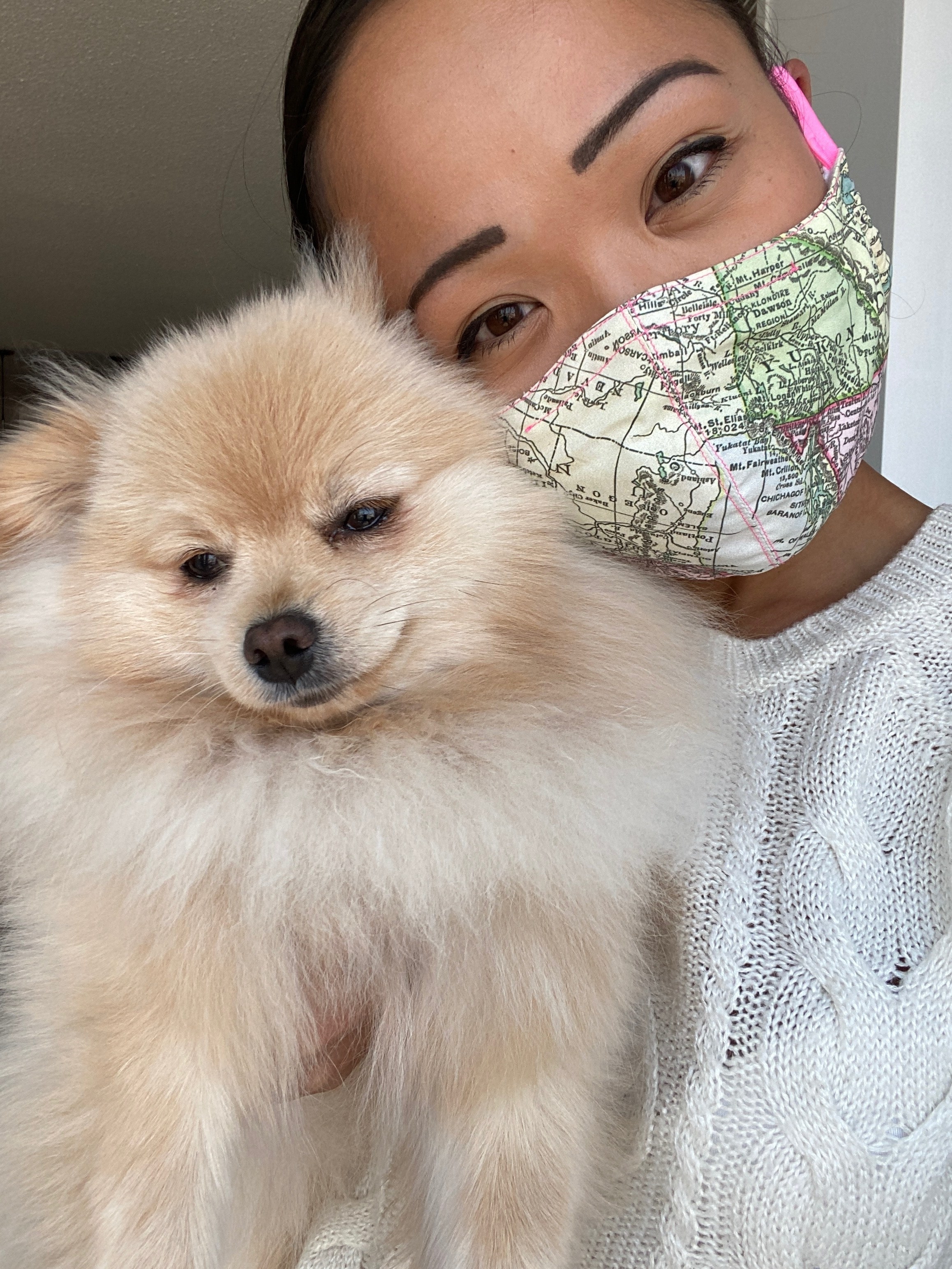 A person wearing a face mask with a map print and holding up a cute puppy