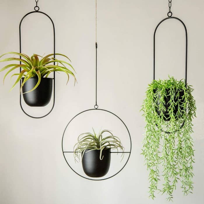 Three hangers in black metal with oval or circular rings around flower pot