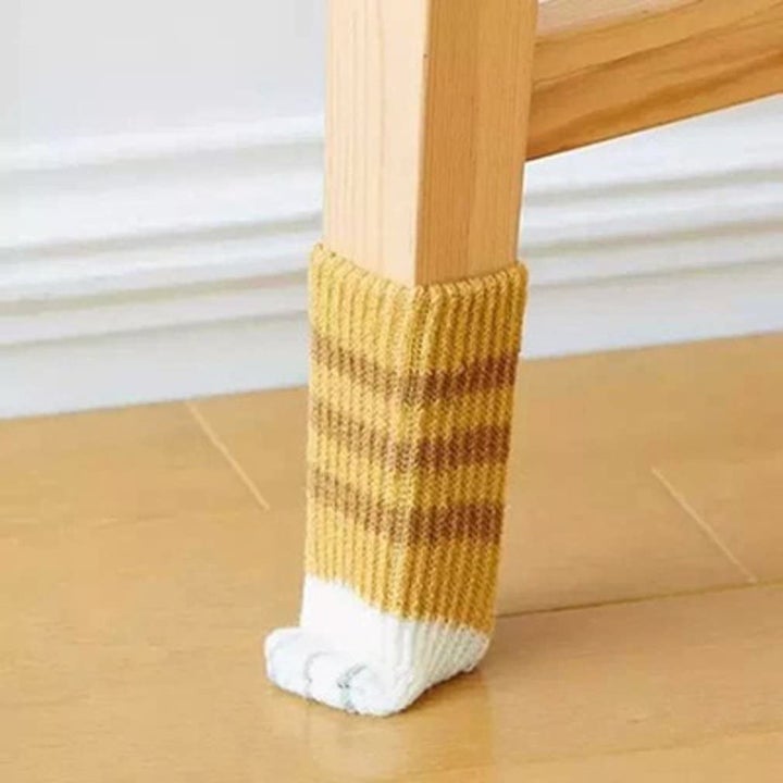 close up on small little paw sock