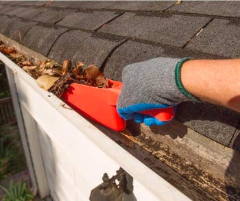 Hand uses red gutter scoop to slide brown leaves off of house gutter on roof