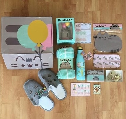 the Pusheen box with many Pusheen-themed items such as slippers and a water bottle 