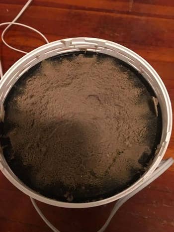 A reviewer photo of the dust collected inside their air purifier
