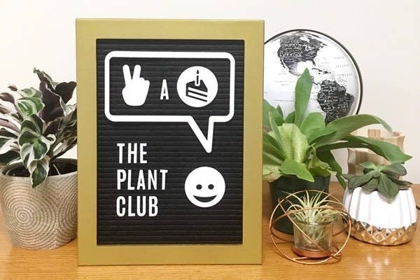 house plants on a desk with a sign that says &quot;The Plant Club&quot;