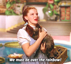 Dorothy holding Toto and saying &quot;We must be over the rainbow!&quot;
