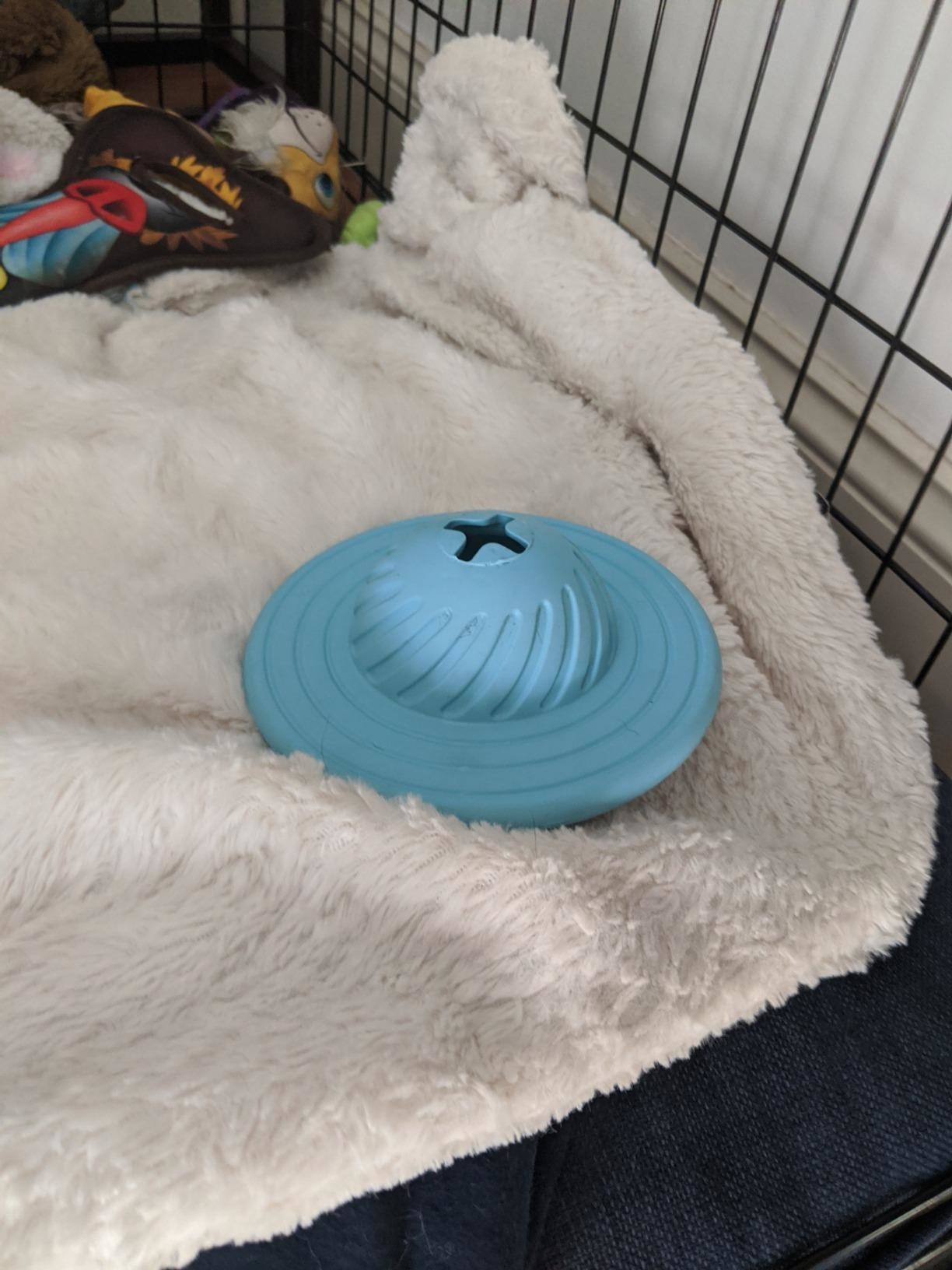 The toy in blue, flying saucer-shaped with a cross-shaped opening for treats to be dispensed through