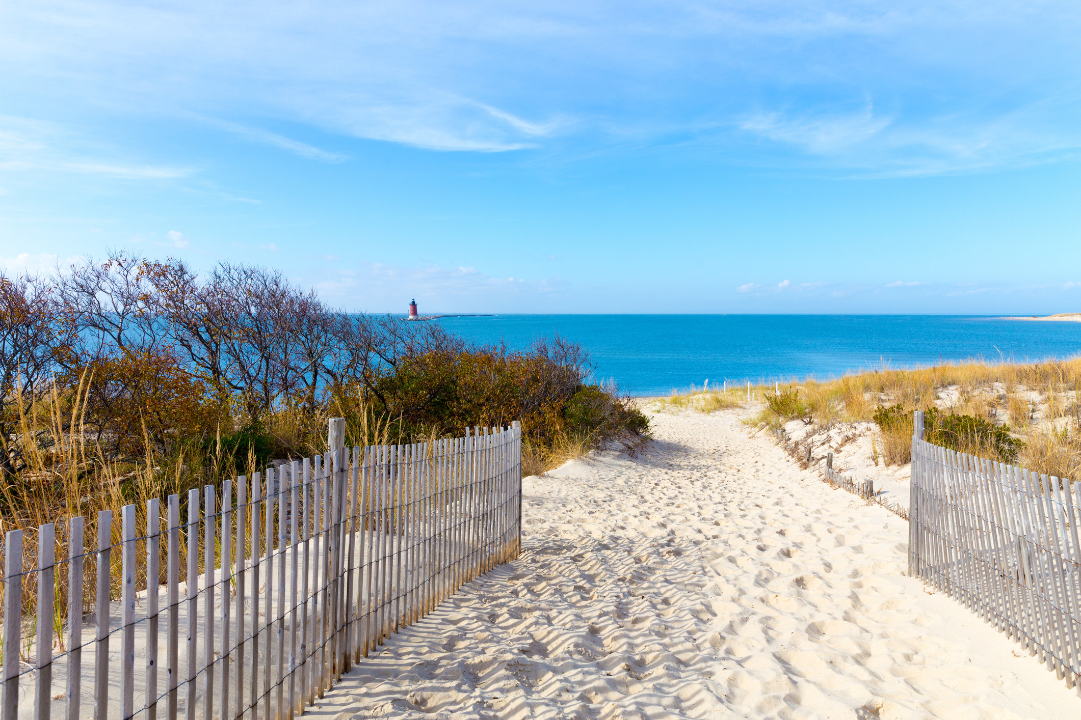 A sandy path leads to a view of the ocean and clear skies above