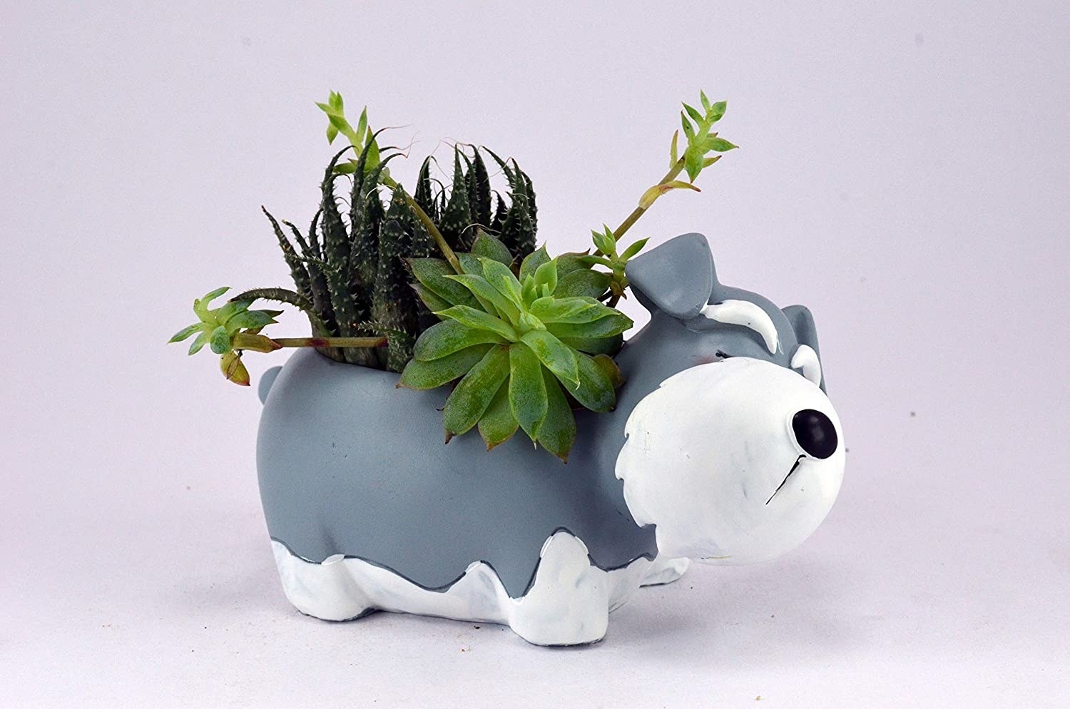 A grey dog planter with plants