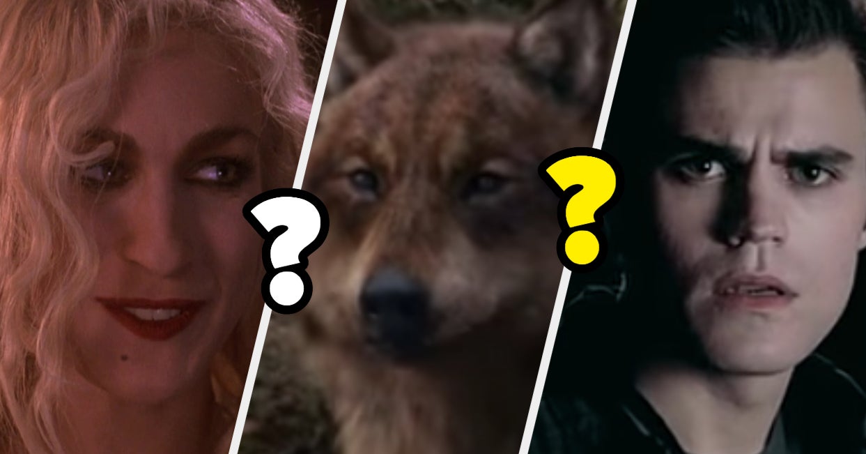 Are You A Vampire Werewolf Witch Or A Human