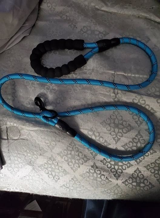 The leash in bright blue, with padded loop handle, metal clasp, and climbing-rope leash
