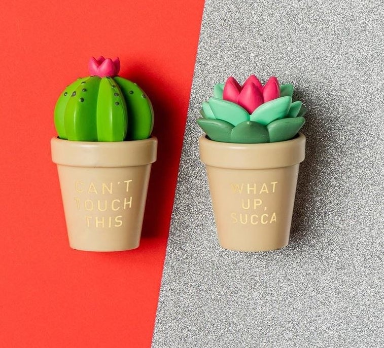 two succulent lip balms that say &quot;can&#x27;t touch this&quot; and &quot;what up succa&quot; 