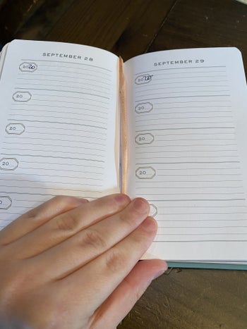The inside, with four small blank lines for each day