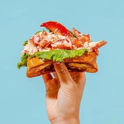 hand holding a sandwich