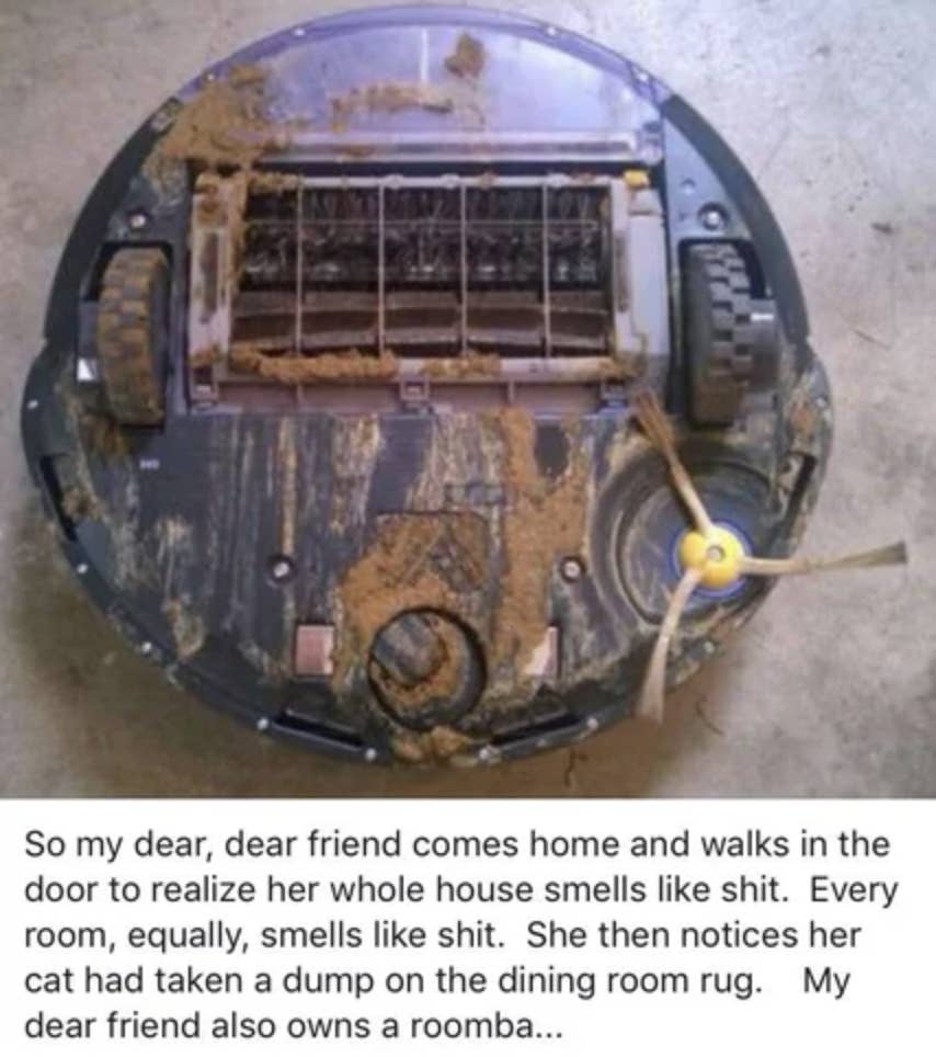 毎日掃除してくれるルンバはペットを飼ってる人にぴったり でも絶対に注意して欲しいことがある 毎日掃除してくれるルンバはペットを飼ってる人にぴったり でも絶対に注意して欲しいことがある