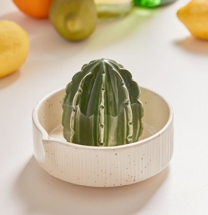 A small and cute cactus-shaped juicer 