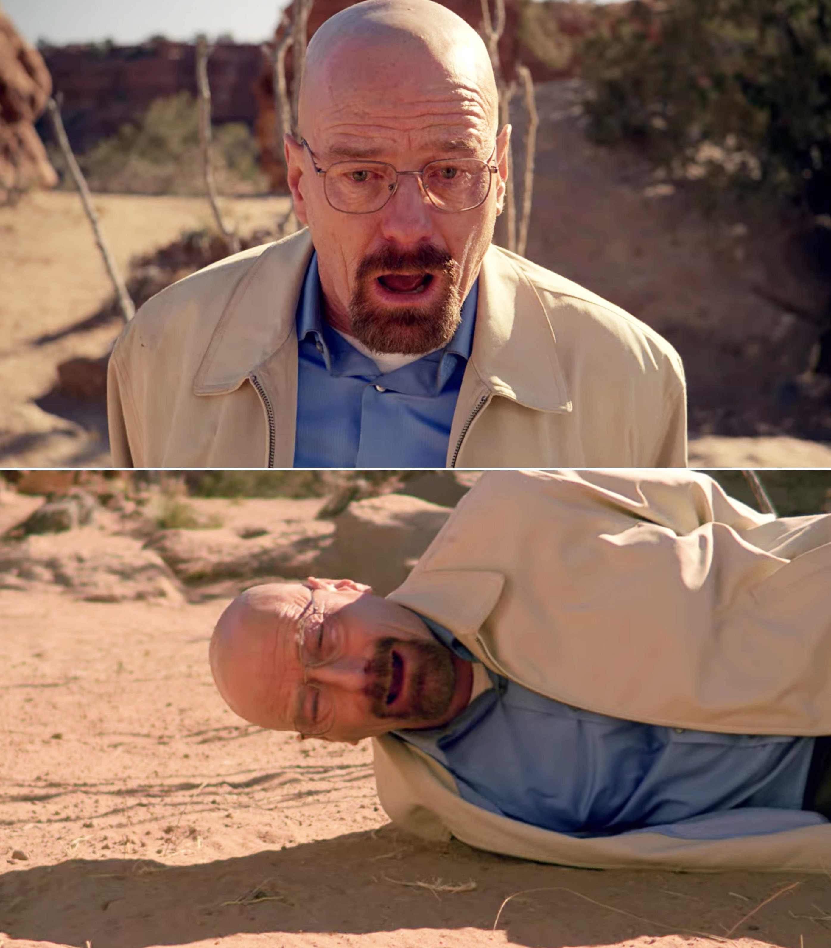 Walt sobbing and falling to the ground