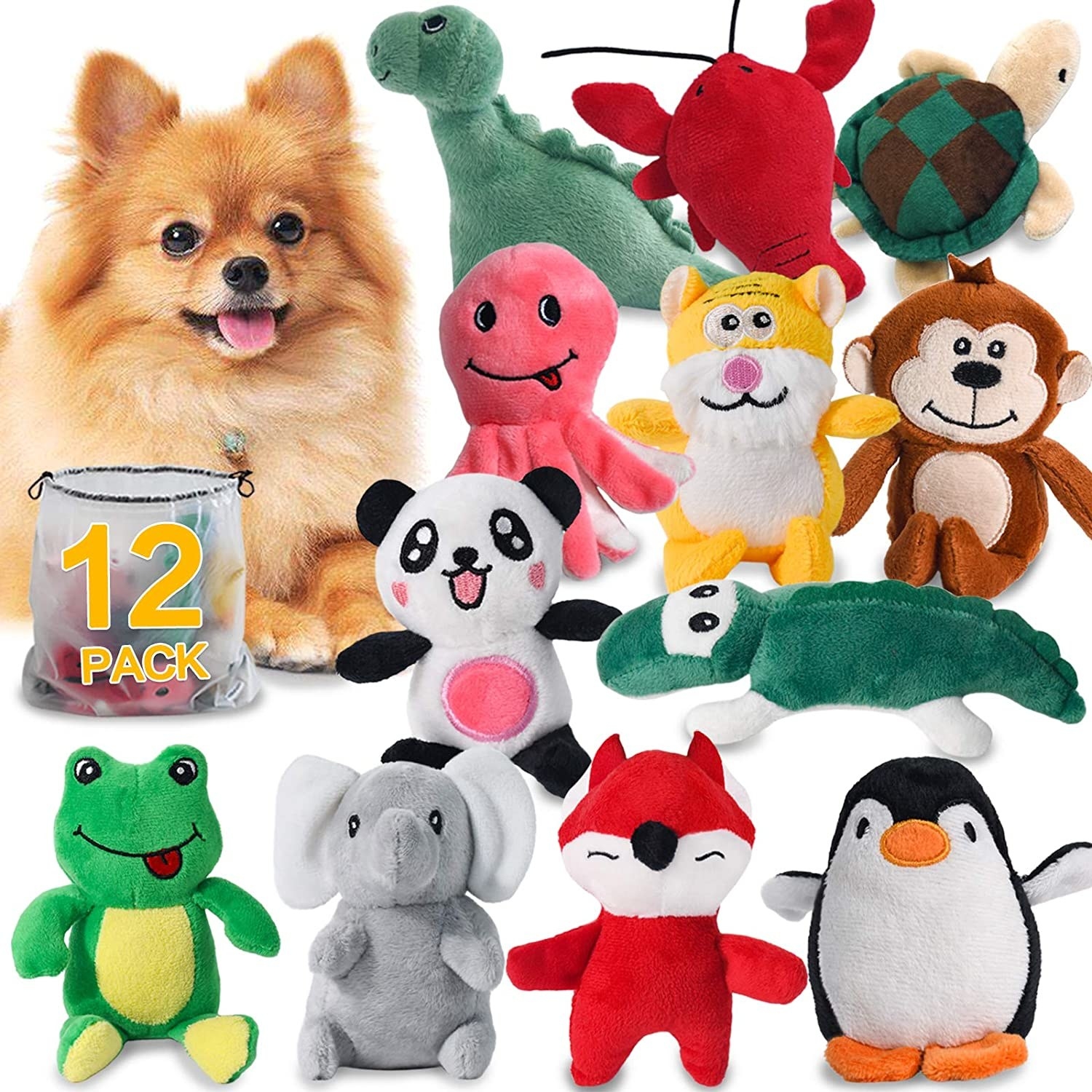 Toy pom dogs