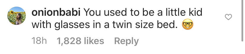 Screenshot on an Instagram comment