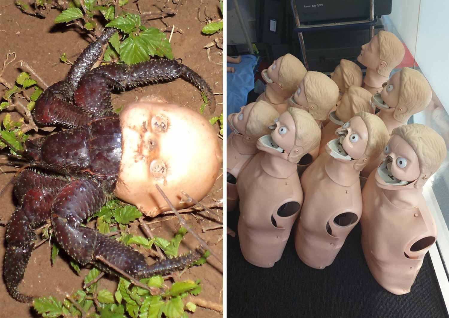 21 Unintentionally Horrifying Pictures, image size:1500x1062