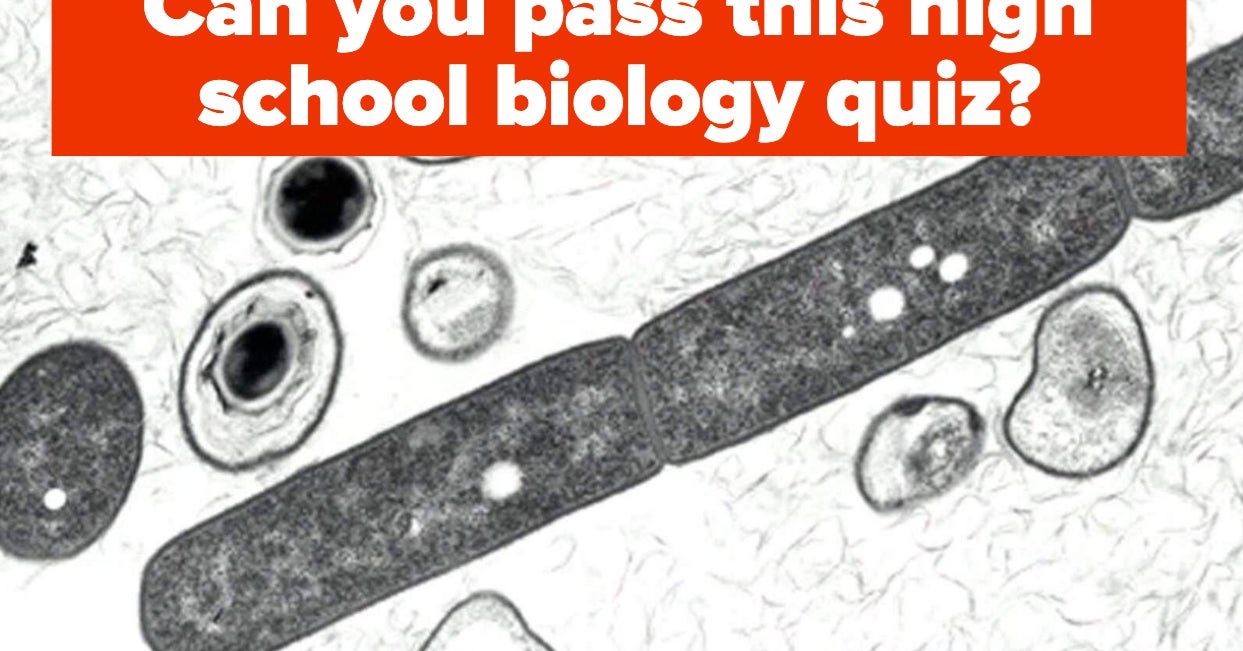 High School Biology Quiz