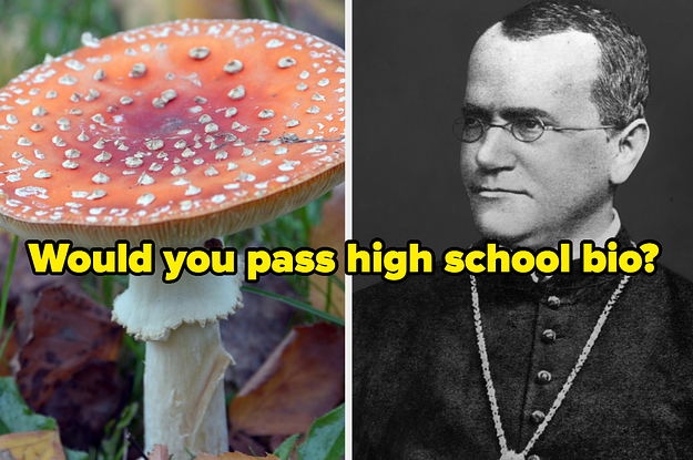 "Would you pass high school bio?" written over a mushroom next to Gregor Mendel