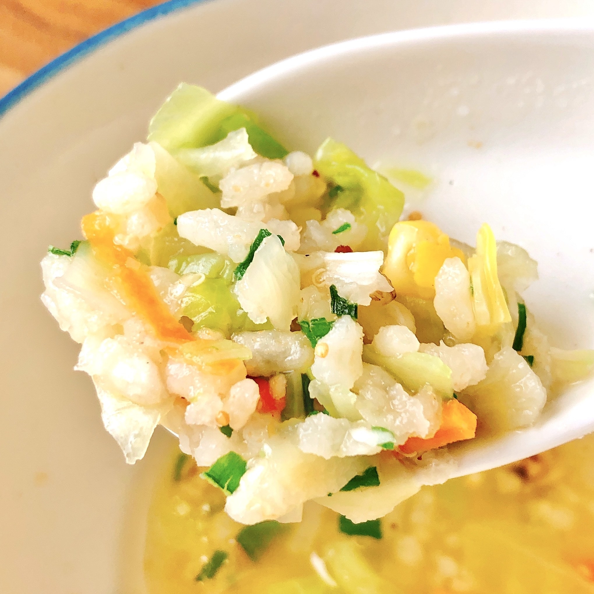 カルディのおすすめのスープ「玄米の食べるスープ」