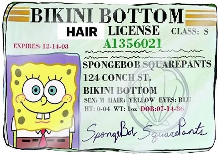 picture of Spongebob&#x27;s driver&#x27;s license