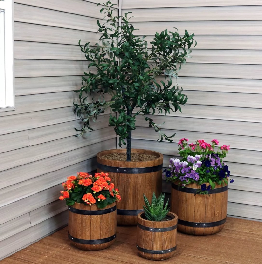 Four plants in pots that look like wooden barrels