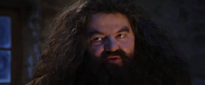 Hagrid from the first movie telling Harry something he's never heard before