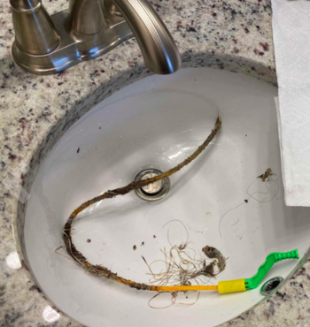 Reviewer shows hair and debris lifted out of bathroom sink by FlexiSnake Drain Millipede