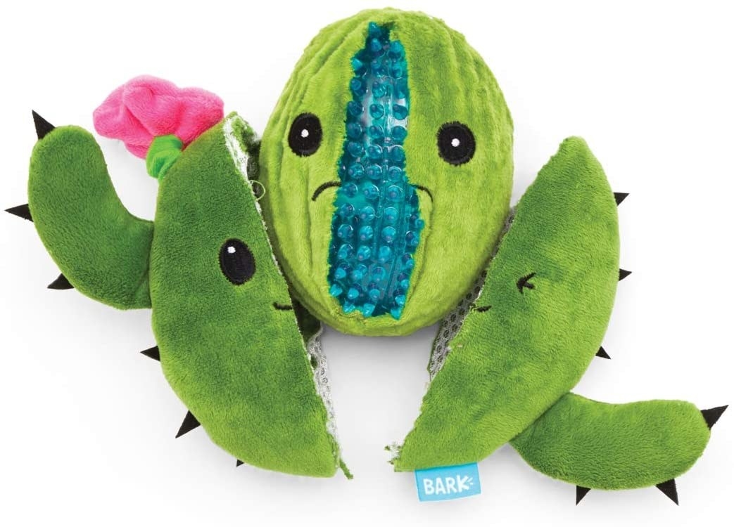 A cactus plush toy ripped in half to reveal a blue chewy ball