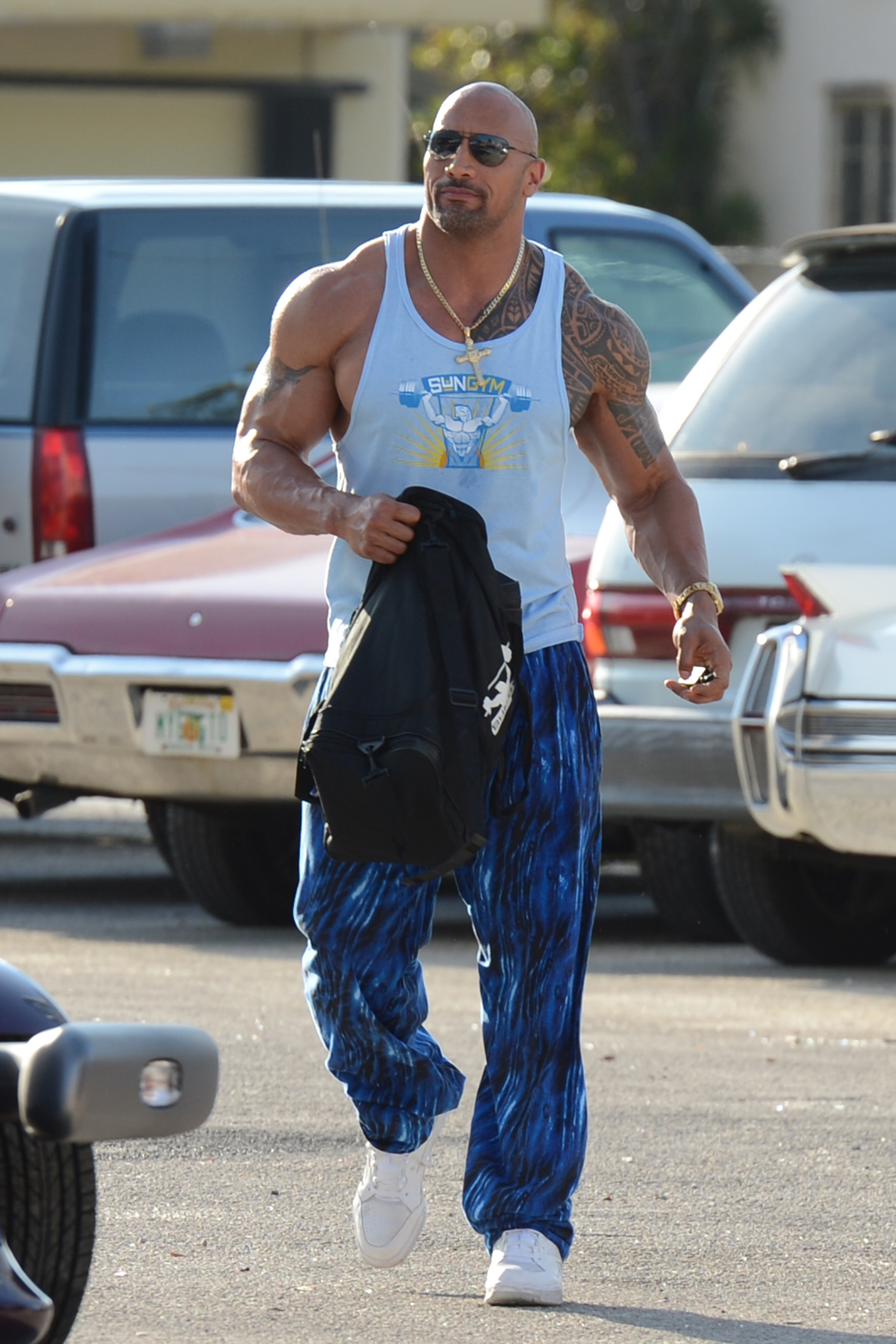 dwayne johnson sweatpants