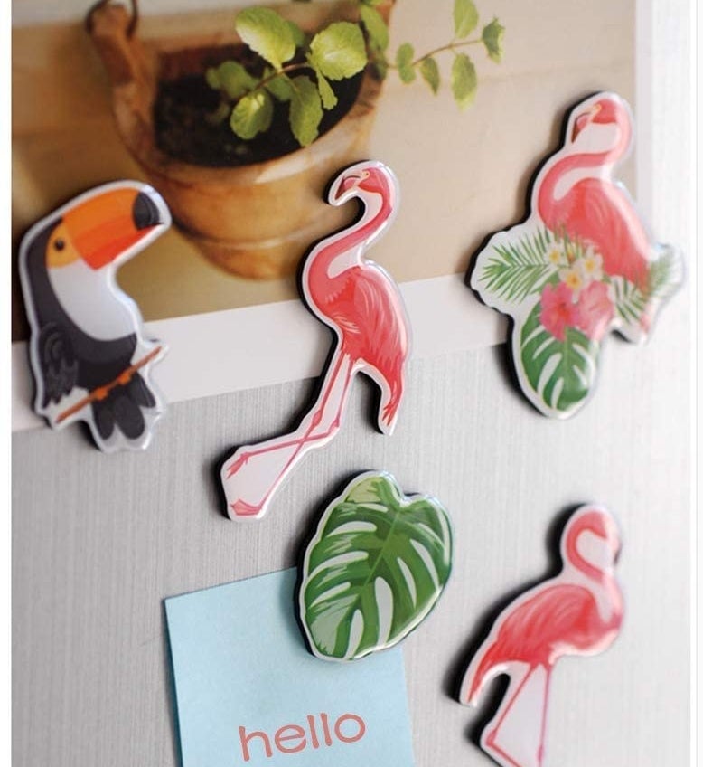 Flaming, palm leaf, and toucan magnets on a fridge